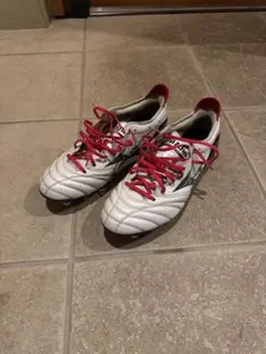 モレリアネオ3 MIX 25センチ