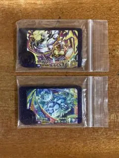 【おまけ付き】ポケモンフレンダ　タケルライコ　テラパゴス