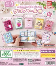 サンリオキャラクター プロフィール帳 けろけろけろっぴ 新品未開封