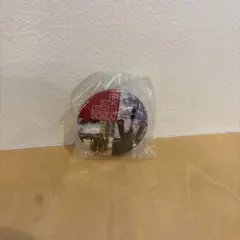 世界三大記念艦 三笠 缶バッジ