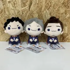 n*️様 ハイキュー もちぴこぬいぐるみ⑤ 全3種セット
