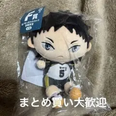 ハイキュー!! 赤葦京治 ぬいぐるみ・マスコット