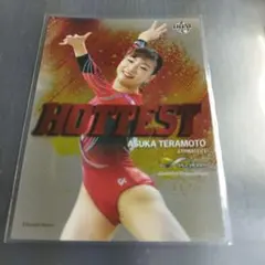 ★お年玉特価★寺本明日香 画像集(2015～2019年) 約15,500枚 ☆期間限定販売☆寺本明日香 画像集(2015～2019年) 約15,500枚