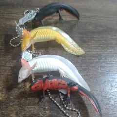 Item thumbnail for item cd5abda8-21e6-4dbd-8eff-d38cff7eee2f