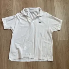 LACOSTE ホワイト ポロシャツ XL
