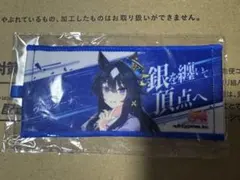 ウマ娘 プリティダービー ミニ応援タオルキーホルダー クロノ