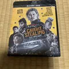 新品未開封品 コート・スティーリング Blu-ray+DVD 2枚組