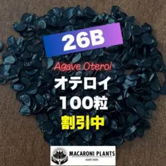 数量限定】アガベ オテロイ 種子 姫厳竜×黒火焔 10粒 - メルカリ