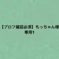 2026年最新】プロフ確認必須様専用】の人気アイテム - メルカリ