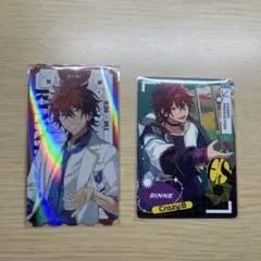 天城燐音 まとめ売り