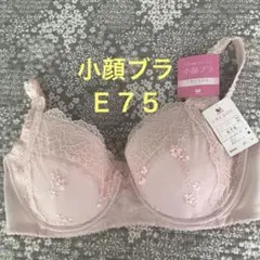 専用【新品】ワコール E75/L 2セット 2025年最新】ワコールE75の人気アイテム - メルカリ