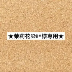 ★茉莉花ꕤ୭*様専用★