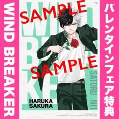 マガジンバレンタインフェア 特典イラストカード WIND BREAKER 桜遥