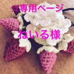 ☆ ねいる様専用ページ