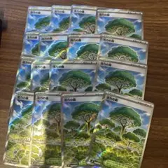 活力の森　16枚