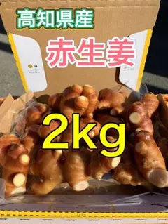 赤生姜 しょうが 高知県産 4kg - メルカリ