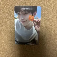 ENHYPEN ORANGE BLOOD kpopmerch ソヌ shopee