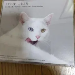 レア盤 ケツメイシ 花鳥風月 12インチレコード2枚組 レア盤 ケツメイシ 花鳥風月 12インチレコード2枚組 - メルカリ