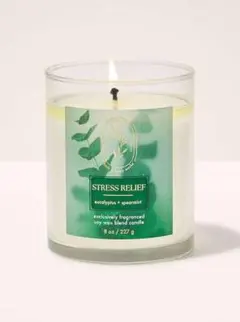 2026年最新】bath body works キャンドルの人気アイテム - メルカリ