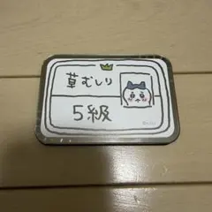 casetify ハチワレ 草むしり検定5級 カードケースmegsafe対応