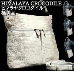 クロコダイル本革