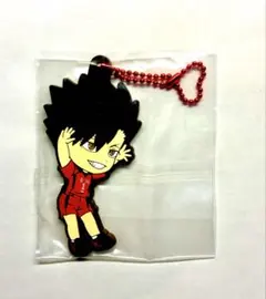 2025年最新】黒尾鉄朗ラバストの人気アイテム - メルカリ