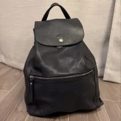 あ、ず。様専用　ロンシャン ネイビー リュック Le Foulonne