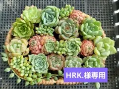 HRK.様 リクエスト 4点 まとめ商品