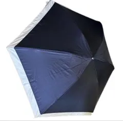 コロコロ様専用
