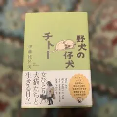 野犬の仔犬チトー