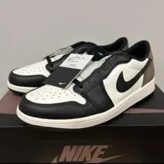 Item thumbnail for item 7e8dcea4-73a0-40bf-bf4d-67329879c56c