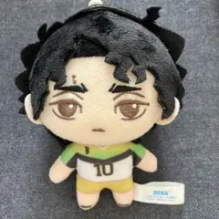 2025年最新】セガ ラッキーくじ ハイキューの人気アイテム