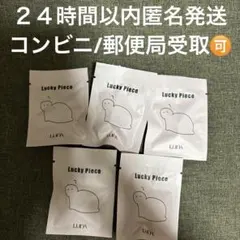 幸福亀　韓国で大人気！