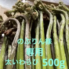 わらび　天然　のぶりん様専用ページです　他の方はご購入されません様に