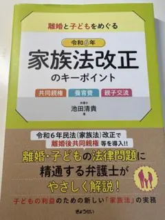 離婚と子どもをめぐる家族法改正のキーポイント