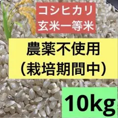 農薬は不使用（栽培期間中）10キロ　令和7年 兵庫県産 コシヒカリ 玄米 一等米 農薬は不使用（栽培期間中）10キロ 令和7年 兵庫県産 コシヒカリ 玄米