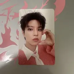 スンミン　トレカ　do it straykids スキズ