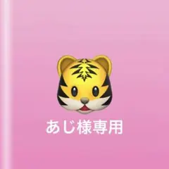専用