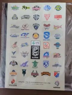 2026年最新】b.league allstarの人気アイテム - メルカリ