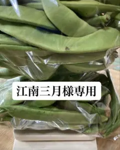江南三月様専用　モロッコいんげん932g