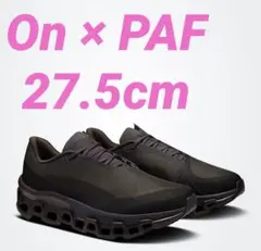 【期間限定】On Cloudmonster 2 PAFのサムネイル