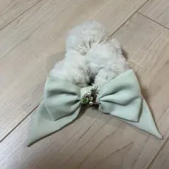 ティンカーベル　シュシュ