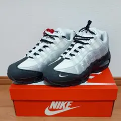 NIKE Air Max 95 エアマックス95 ソンス