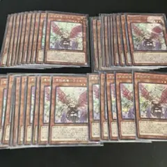 遊戯王 憑依装着－ライナ 35枚セット イラスト違い まとめ売り　シークレット