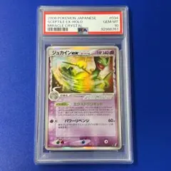 2025年最新】ジュカイン デルタの人気アイテム - メルカリ