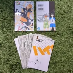 【裁断済】ハイキュー!! 全45巻＋排球本＋極+劇場版33.5