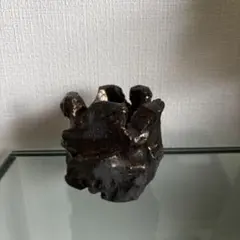 2026年最新】姫野翔太 鉢の人気アイテム - メルカリ