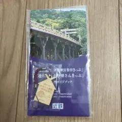 出雲大社 平成の大遷宮 記念 御神紋入 銀盃 刻印あり 木箱入 2026年最新】遷宮記念の人気アイテム - メルカリ
