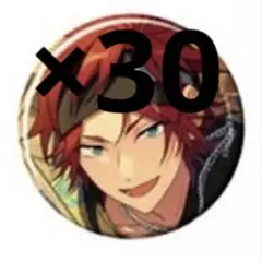 あんスタ コレクション缶バッジ sep casual 燐音 30点セット