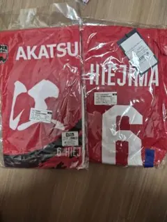 比江島慎　日本代表グッズのサムネイル